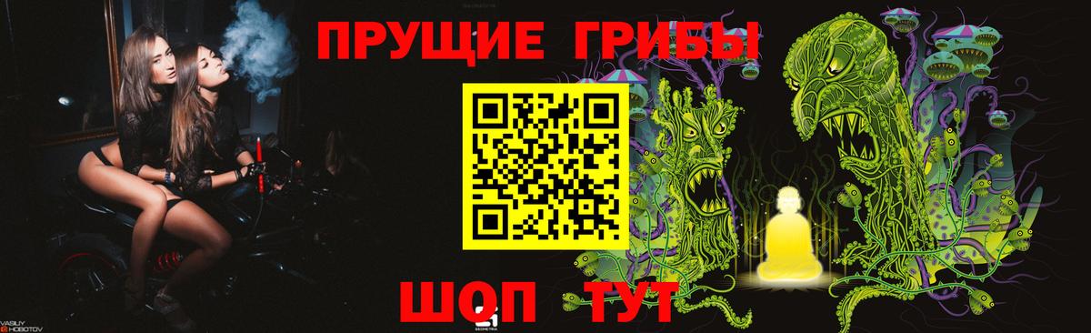 Псилоцибиновые грибы Psilocybine cubensis Скопин